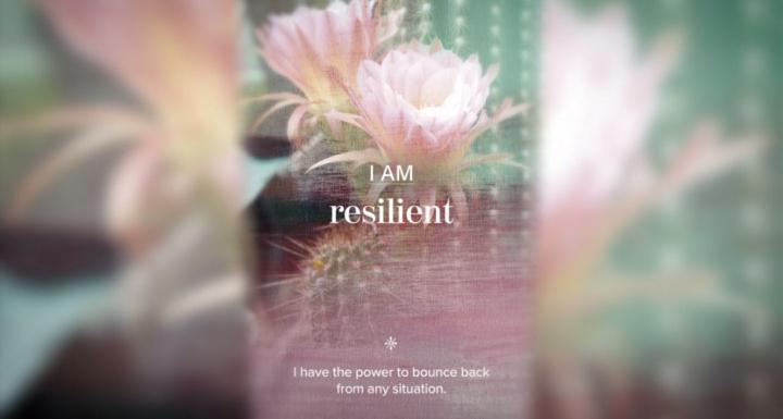 Bodi Power Mindset and meditation