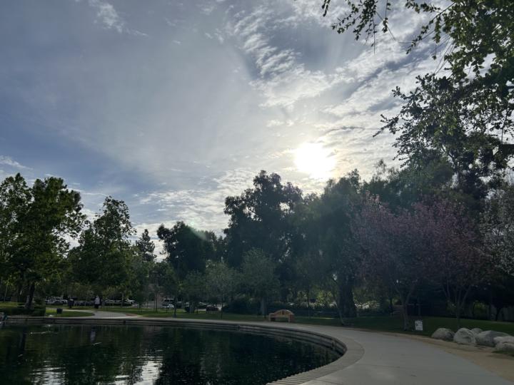 Monday morning walk