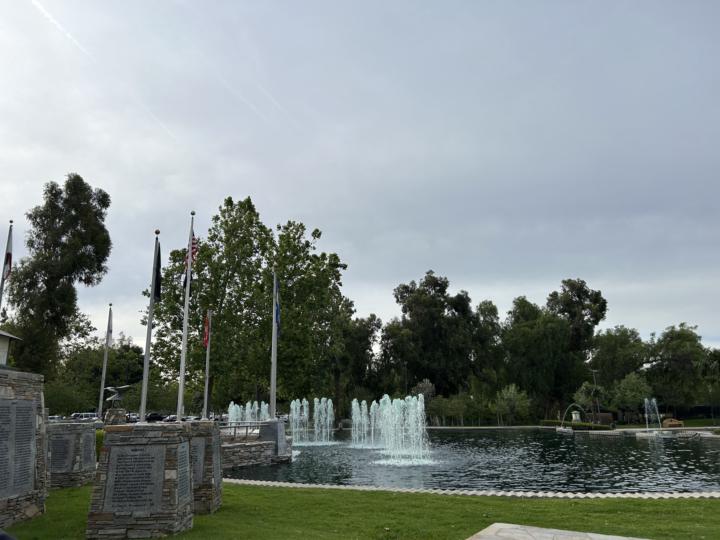 Thursday morning walk