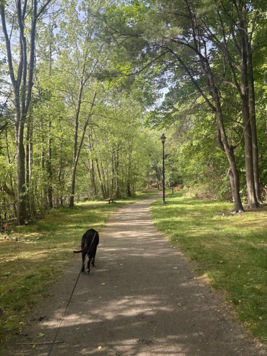 Active rest day