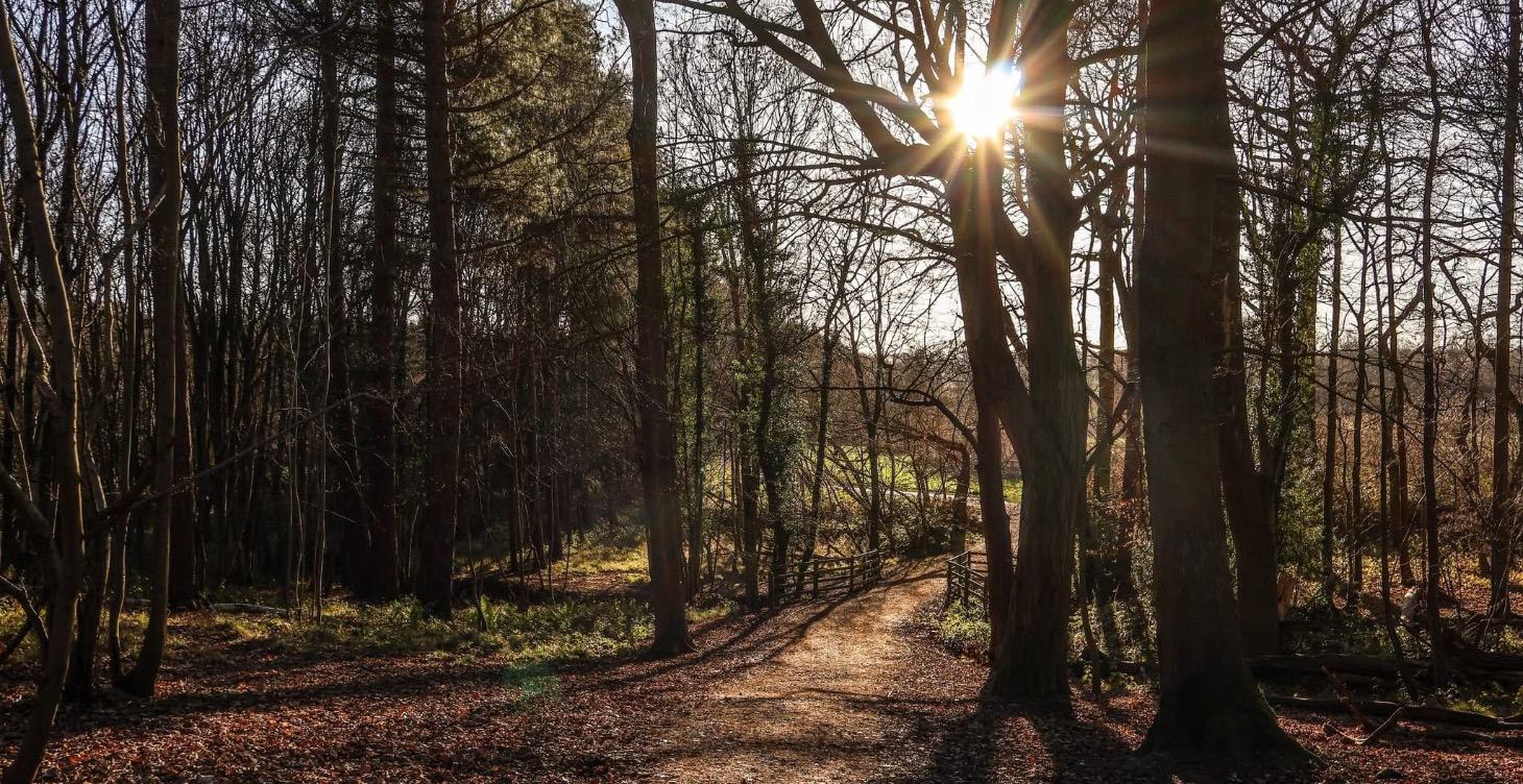 Learn about true spiritual wisdom .