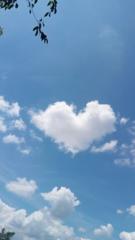 Silvia patricia Morales ramon