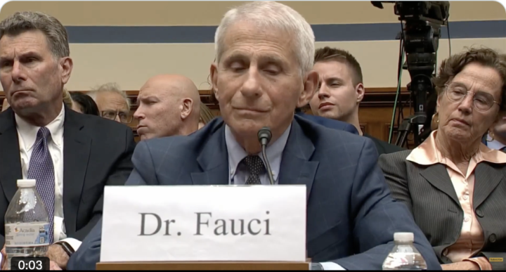 „Bitte löschen“: Neue E-Mails belasten Anthony Fauci schwer