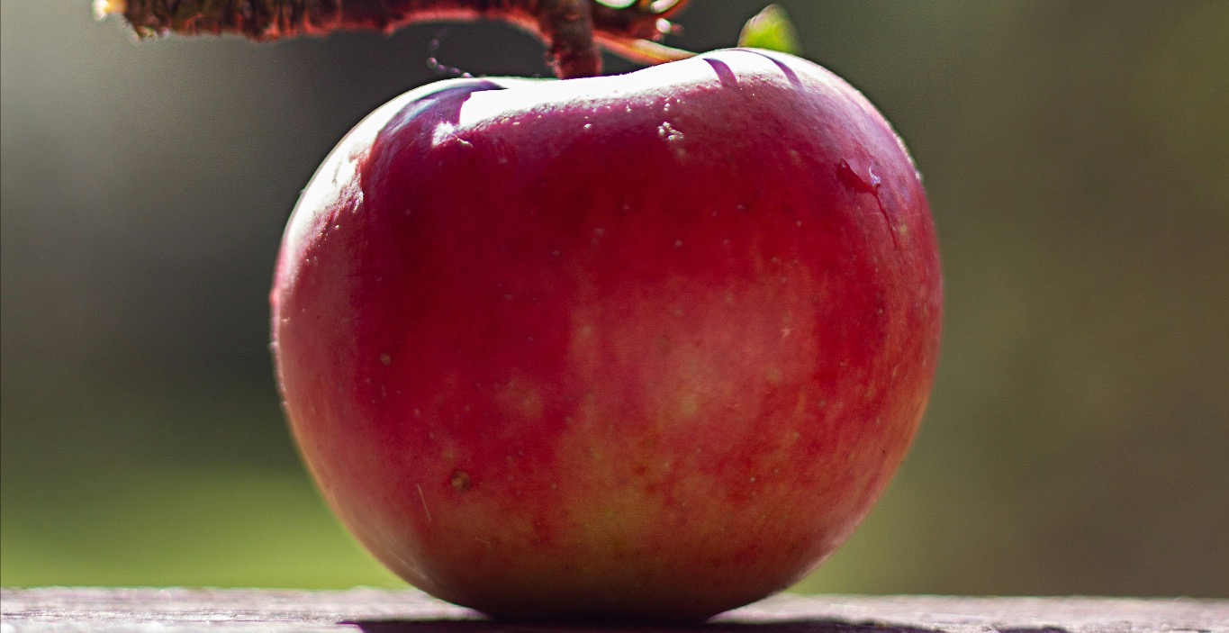 Gesundheit & Ernährung