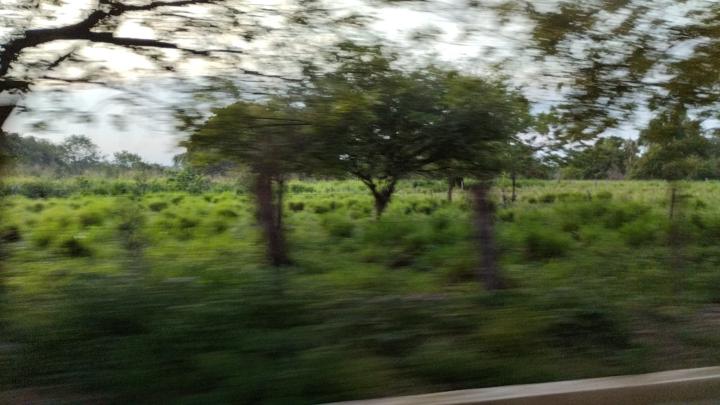 Johan Camilo Zuleta Machuca