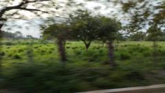 Johan Camilo Zuleta Machuca