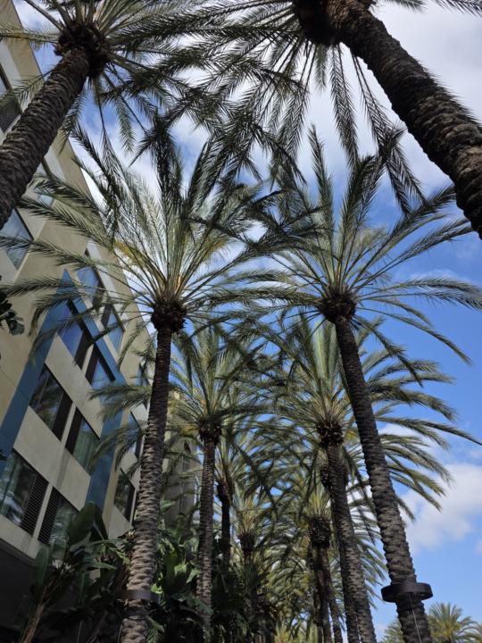 Some takeaways from this year's Social Media Marketing World.