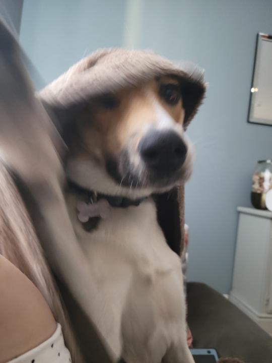 Let’s Kick off the Holidays ☃️