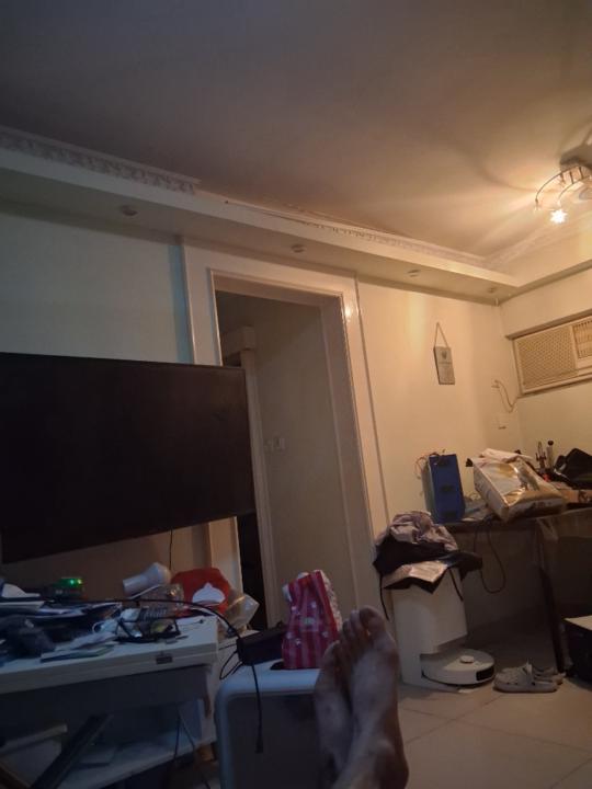 量子 生命