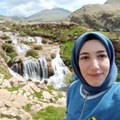 Nurşin Aydın