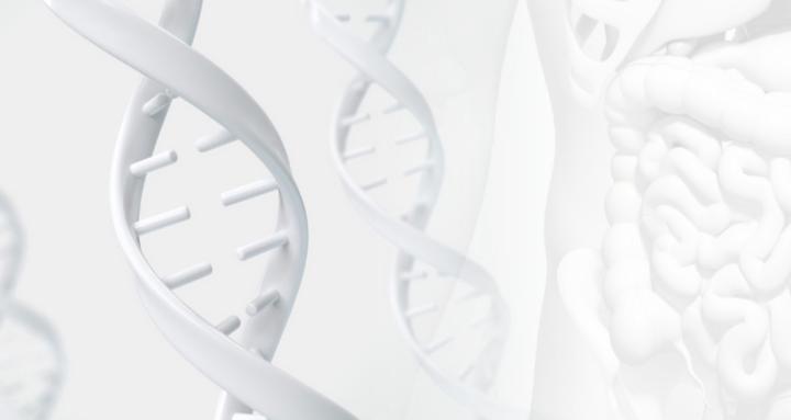 The Methylation Hub 