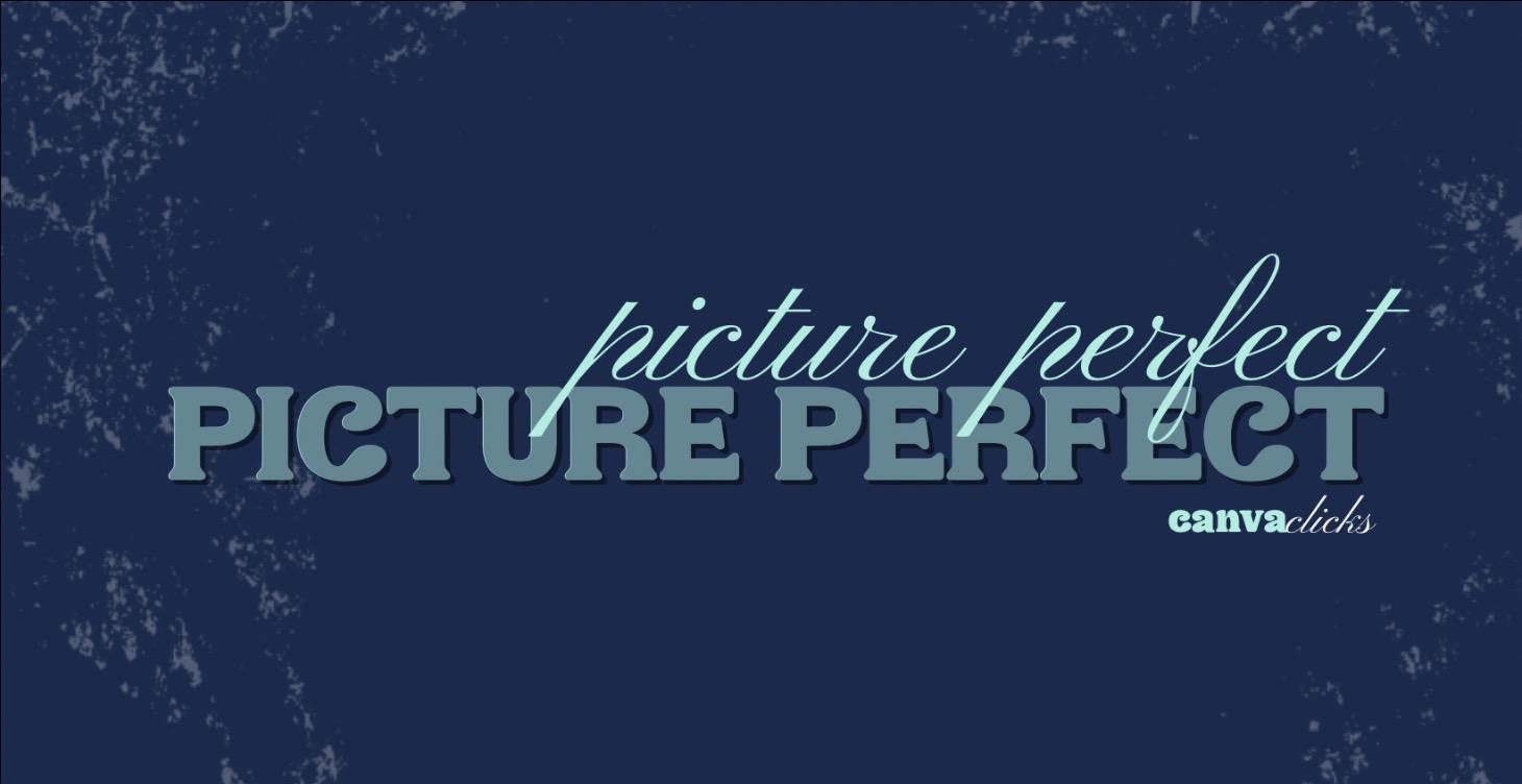 Picture Perfect