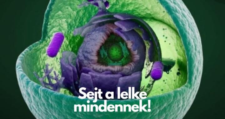 Sejt-a-lelke-mindennek