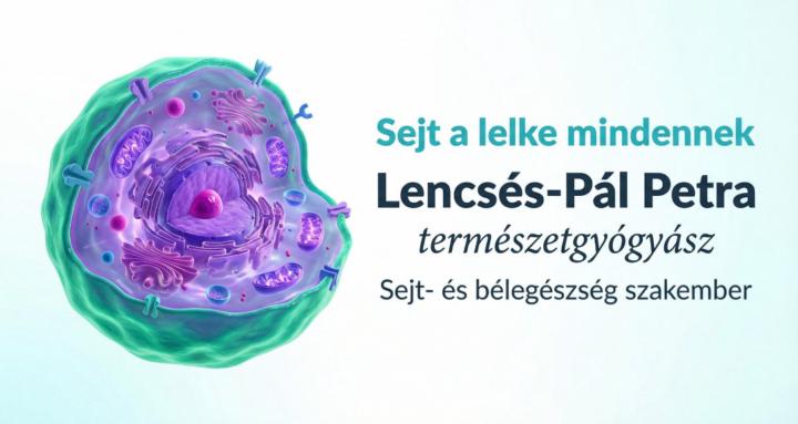 Sejt-a-lelke-mindennek