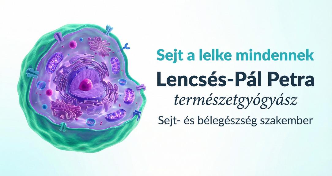 Sejt-a-lelke-mindennek