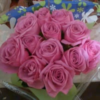 Renee Daniels-Hanner