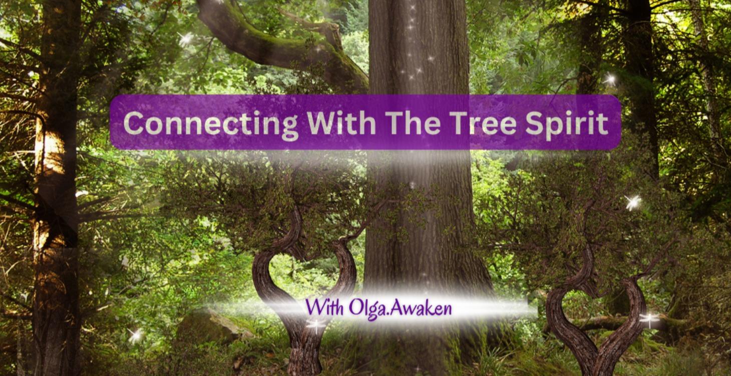 Connecting with the Tree spirit-Exercise