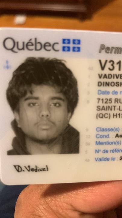 Dinoshan Vadivel