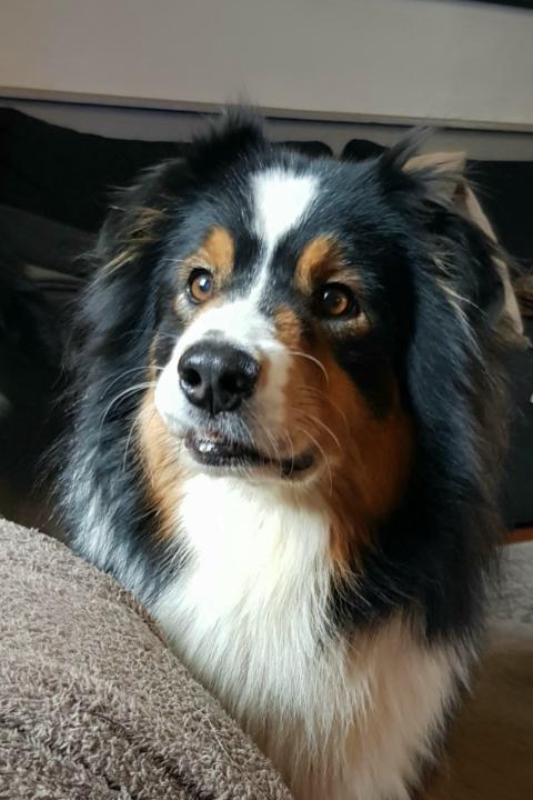 Delphine Le Seguillon