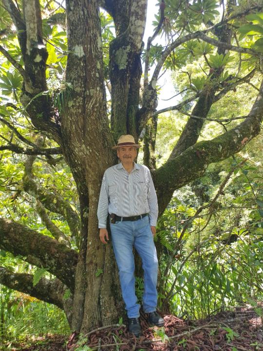 Guillermo Rojas Saldana