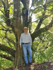 Guillermo Rojas Saldana