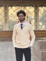 Ahmed Mamdouh