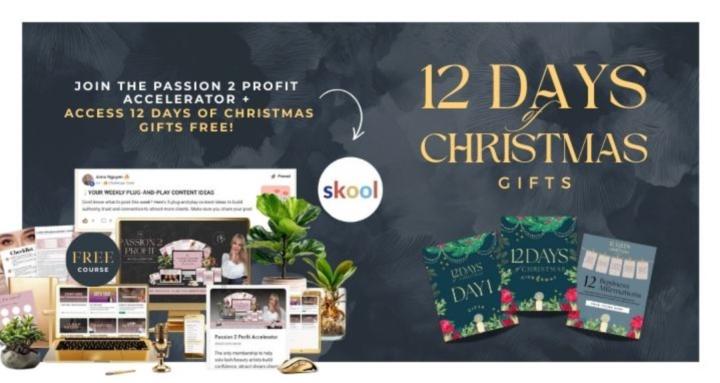 Passion 2 Profit Accelerator