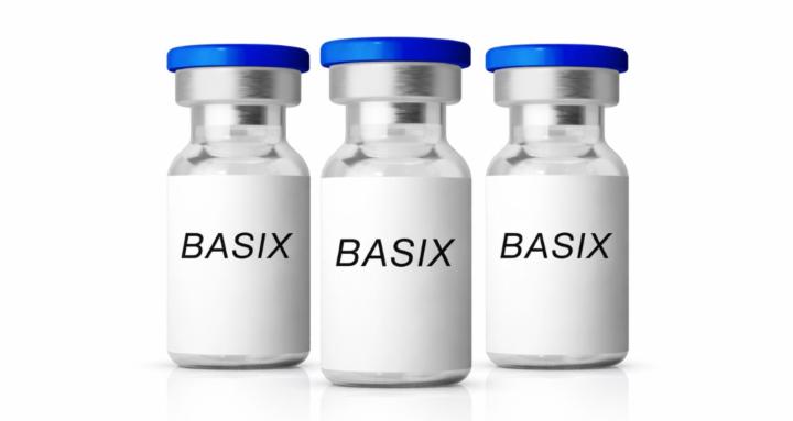 BASIX Community