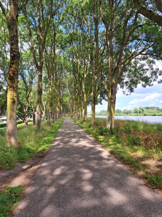 Els Zuidbroek