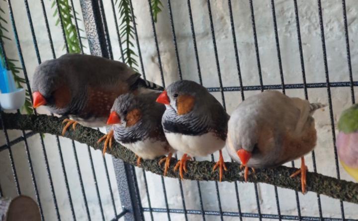 Ryan Richards