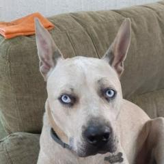 Elena Karina Ávila Díaz