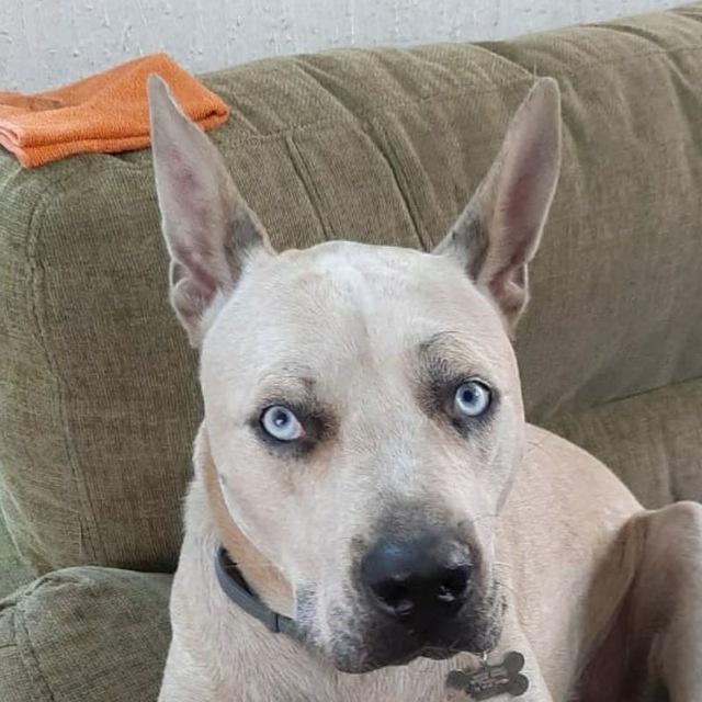 Elena Karina Ávila Díaz