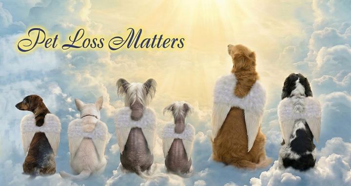 Pet Loss Matters Community