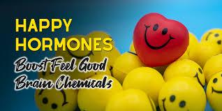 Holistic Hormone "Happy" Hour is Coming Soon!