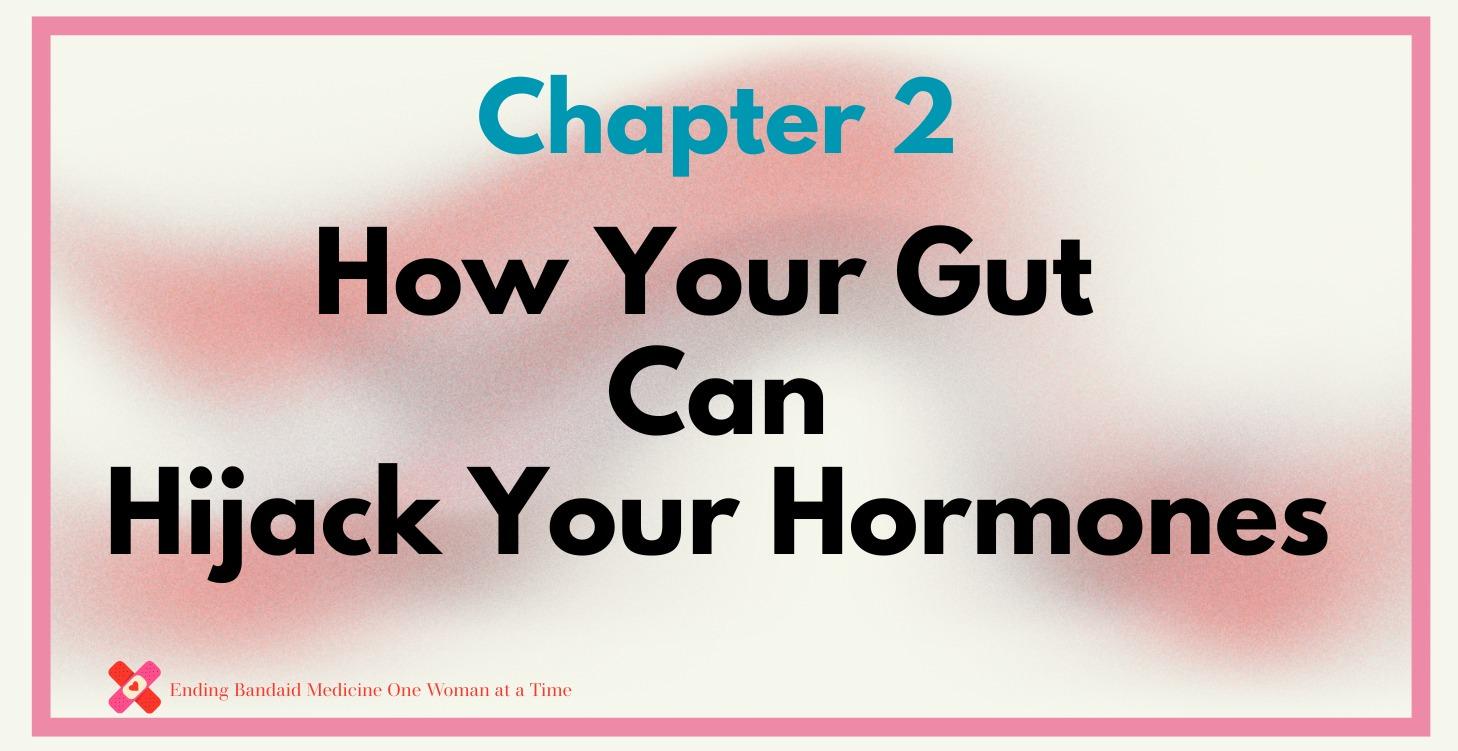 Chapter 2:  Your Gut is Hijacking Your Hormones