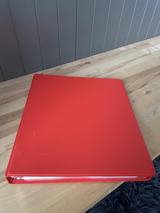 The Red Notebook