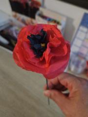 Valérie Coquelicot