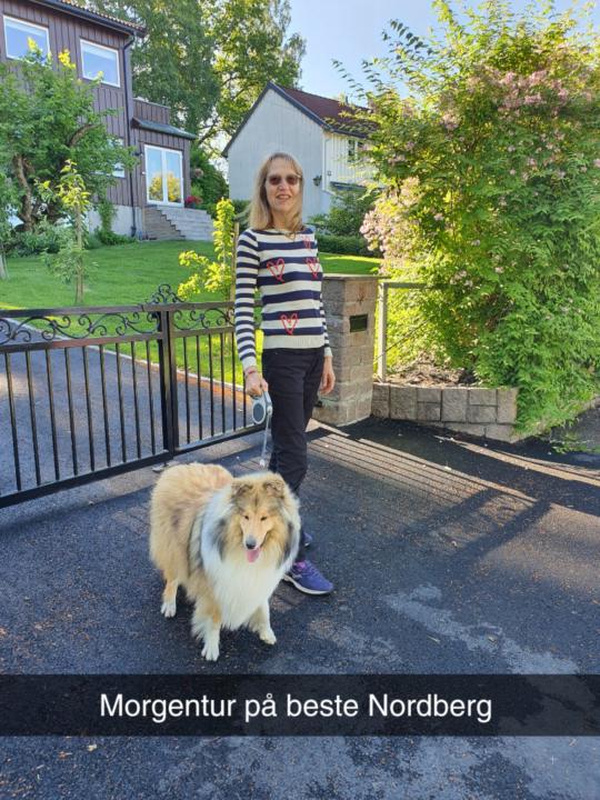 Lektor Anne