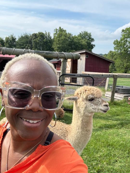 Errica Mitchener