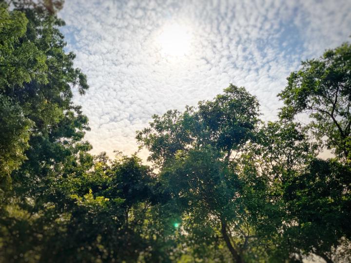 Bhuvan Pathuri