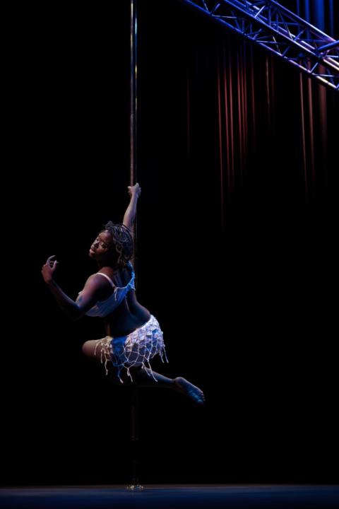 The Ubiquitous Pole Dancer