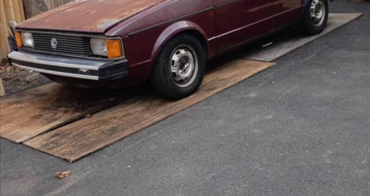 Sorry wabbits (Volkswagen)