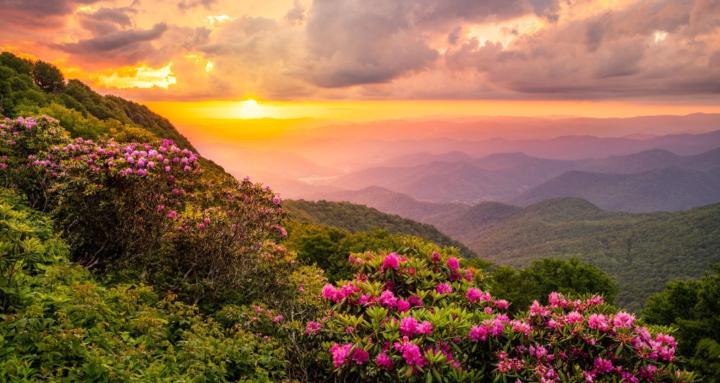 Parents-Children Mental Health