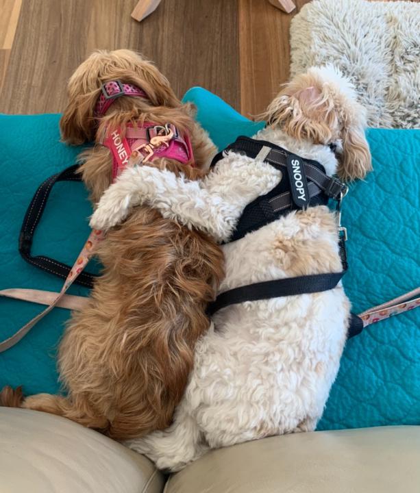 Lynette Stanbury-Waters