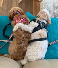 Lynette Stanbury-Waters