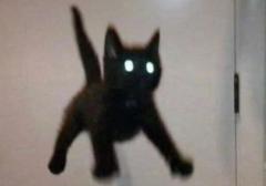 Huhuhu K