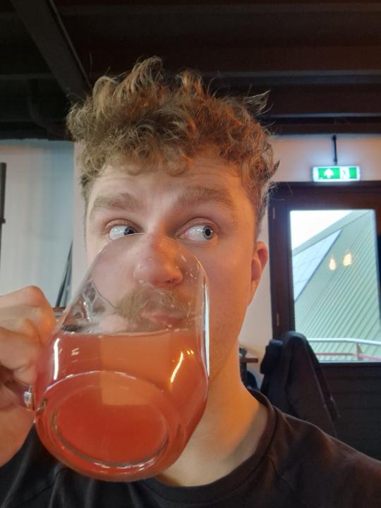 Menno van Harten