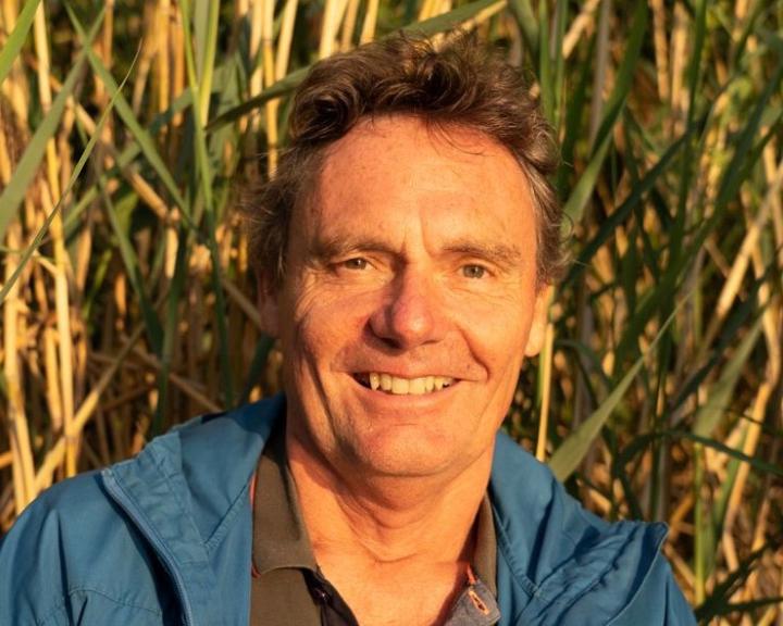 Heinz Bergthaler