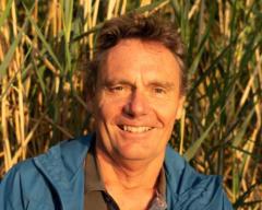Heinz Bergthaler