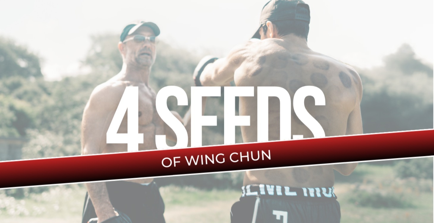 The 4 Seeds Of Wing Chun